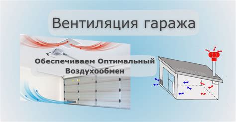 Важность обеспечения воздухообмена в хранилище для предотвращения загнивания продукта