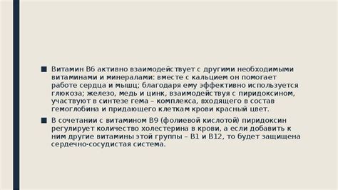 Важность обогащения рациона питомца необходимыми витаминами и минералами