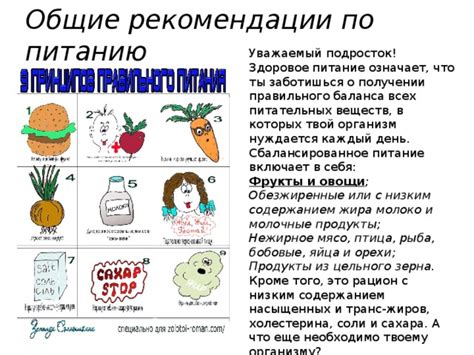 Важность овощей с высокой соковитостью для оптимального баланса питательных веществ