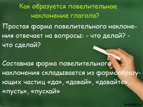 Важность понимания разнообразия приказательных глаголов