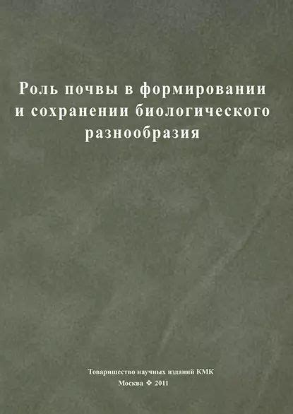 Важность понятия "ли ю ми" в формировании и сохранении памяти
