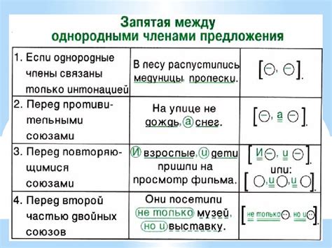 Важность правильного использования знаков препинания для правописания и орфографии