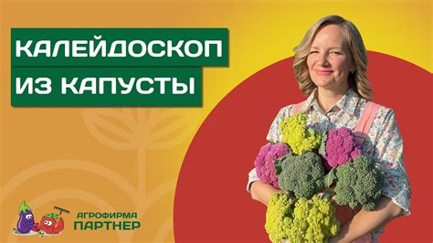 Важность правильного подбора сортов для успешного совмещения капусты и моркови