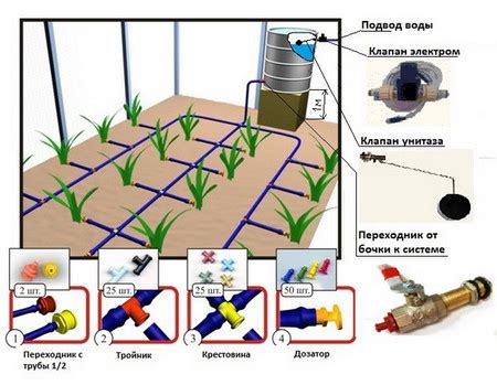 Важность режима полива и освещения