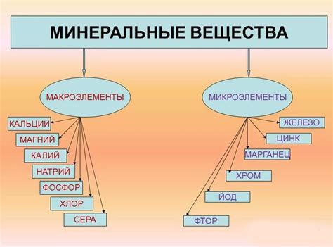 Важность соли для жизни лосей и ее воздействие на организм