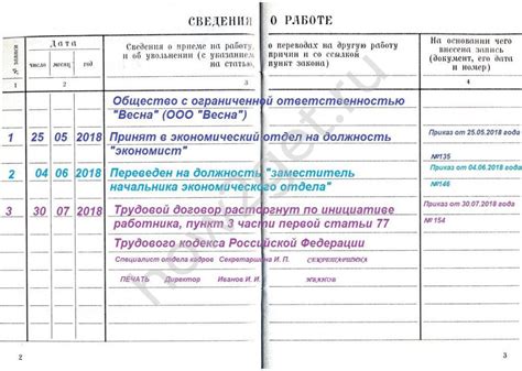 Важность точности отражения информации об отпуске в трудовой книжке