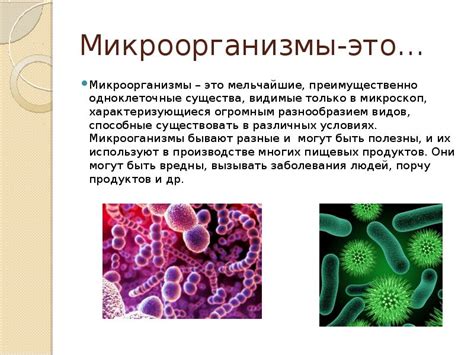Важность углеводного хранилища в жизнедеятельности микроорганизмов