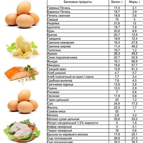 Важность употребления продуктов и добавок, богатых протеинами