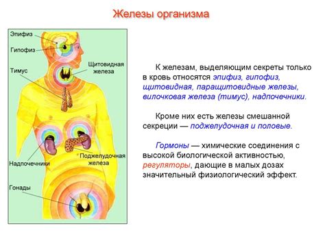 Важность эндокринной системы для нормального функционирования организма