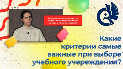 Важные аспекты при выборе учебного заведения для обучения программированию в Казани