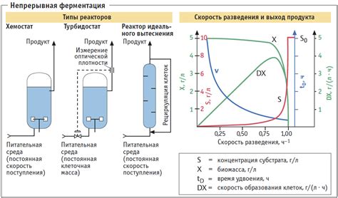 Важные аспекты процесса ферментации