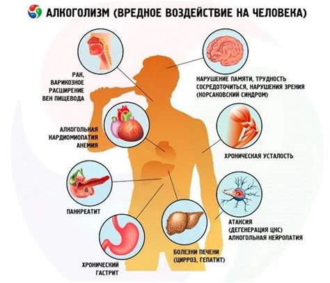 Важные последствия: воздействие алкоголя на структуру и работу сосудов