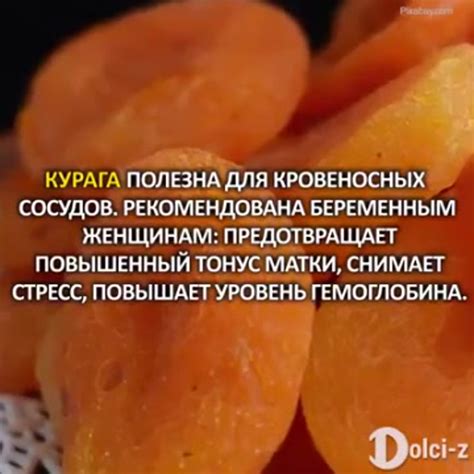 Важные свойства кураги: укрепление здоровья вкусным способом