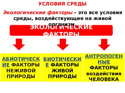 Важные факторы, воздействующие на качество изображения