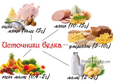 Важный источник растительного белка для вегетарианцев