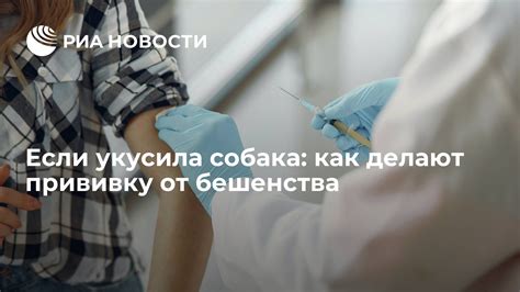 Вакцинация от бешенства: эффективность и безопасность