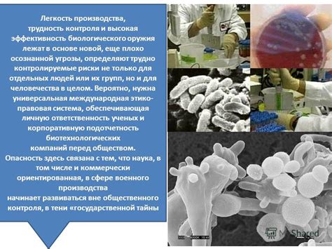Варианты биологического контроля и их эффективность