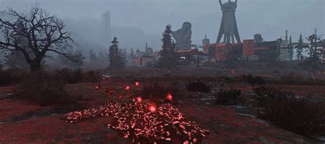 Варианты местонахождения редкого растения в игре Fallout 76