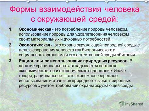 Варианты проживания, гармонично соединяющиеся с окружающей природной средой