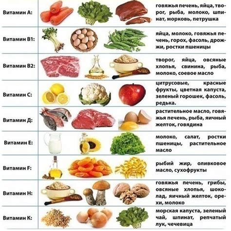 Варианты разнообразного питания для укрепления организма в холодные периоды года