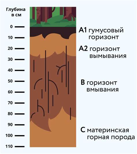 Вариативные локации и их уникальные характеристики