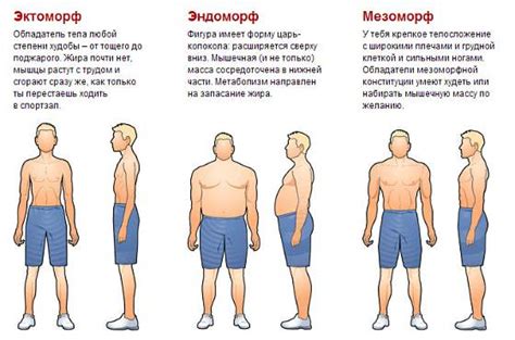 Вариации анатомического элемента у мужчин: разнообразие и особенности