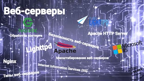 Веб-серверы в РФ: надежность и скорость загрузки