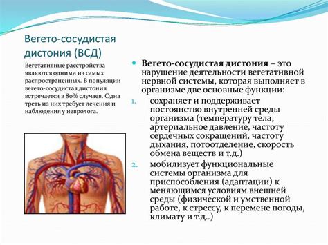 Вегето-сосудистая дистония: определение и причины возникновения