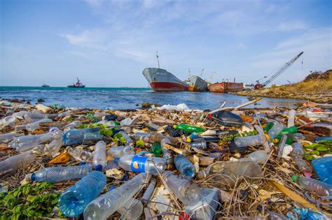 Вейперы в воде: проблема загрязнения окружающей среды