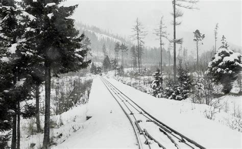 Великолепие ассортимента чая во время путешествий по железной дороге