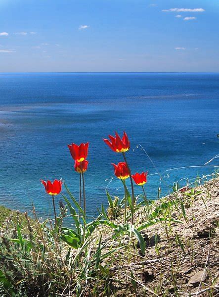 Великолепные побережья и безграничные просторы моря