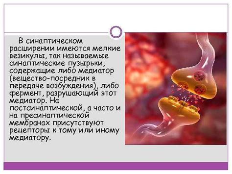 Вещество как регулятор и посредник информации в организме