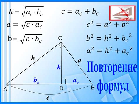 Взаимное расположение вертикального и горизонтального отрезков в прямоугольном треугольнике