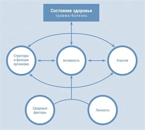 Взаимодействие бак сета с определенными антибиотиками: факторы ограничений