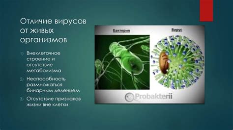 Взаимодействие вирусов с живыми клетками