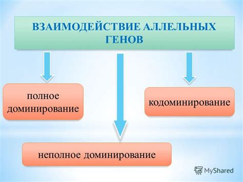 Взаимодействие двух препаратов: суть совместного действия