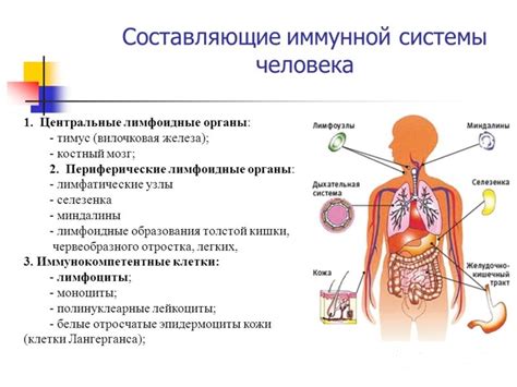 Взаимодействие иммунной системы организма хозяина с посторонним патогенным организмом