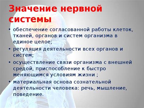 Взаимодействие компонентов организма: важность согласованной работы органов