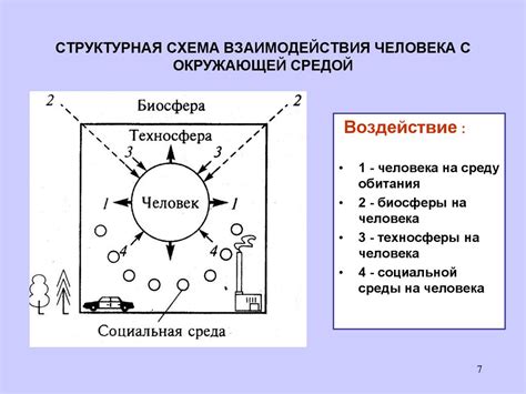 Взаимодействие окружающей среды с нервной деятельностью учеников 4 класса