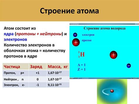 Взаимодействие протонов и нейтронов в атоме: ядерные силы и стабильность