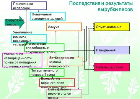 Взаимодействие системы выделения и окружающей среды