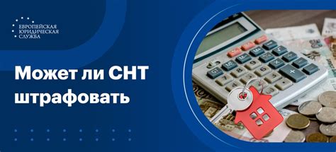 Взаимодействие с казначеем: обязанности участников СНТ и улучшение инфраструктуры