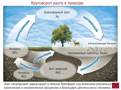 Взаимодействие с NPC для обмена на азот