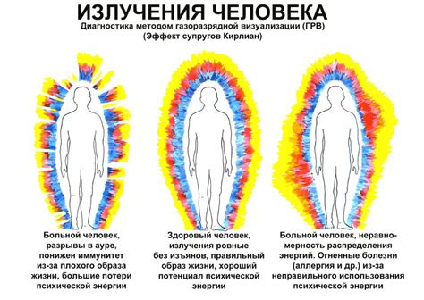 Взаимодействие человека с окружающей средой: поиск гармонии или конфликтов