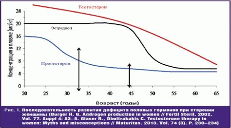 Взаимосвязь ХГЧ и уровня прогестерона: ключевые аспекты