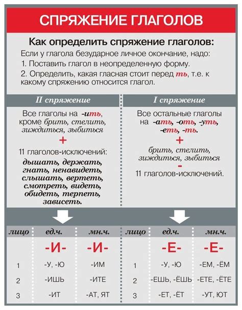 Взаимосвязь глагола с персоной и числом: основные правила и исключительные ситуации