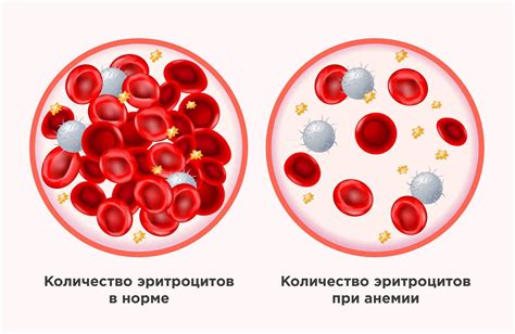 Взаимосвязь железа с процессом образования крови