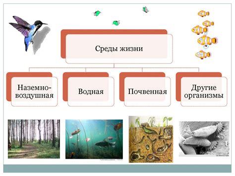 Взаимосвязь между изменением окружающей среды и адаптацией образа жизни у медведей 