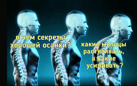 Взаимосвязь между неприятными ощущениями в спине и меняющимся состоянием живота