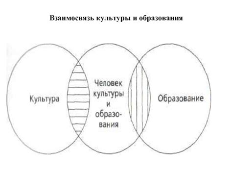 Взаимосвязь между обликом культуры и ее сохранением или трансформацией